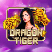 dragon tiger ph bingo apk live casino